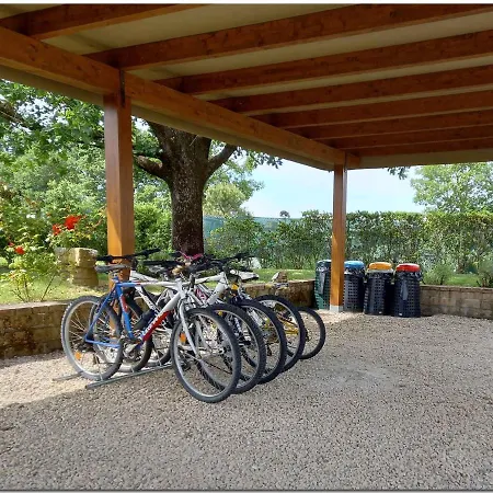 In - Toskana 30389 * Cortona