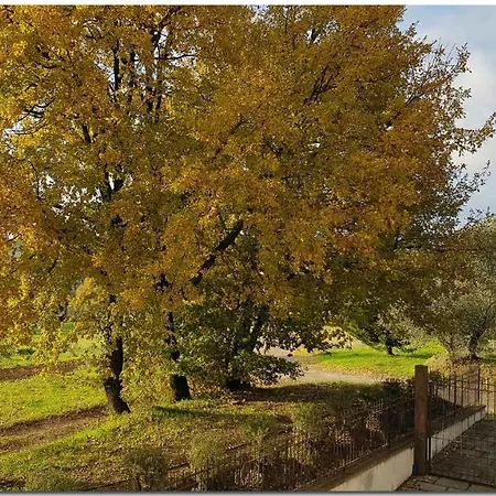 In - Toskana 30389 * Cortona