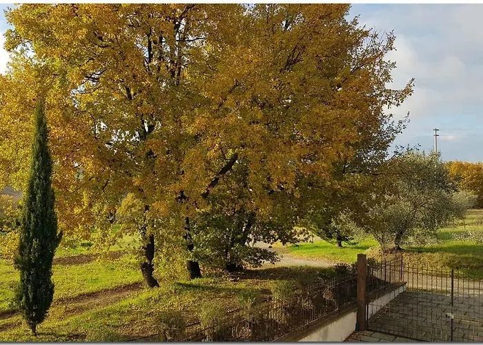 In - Toskana 30389 * Cortona